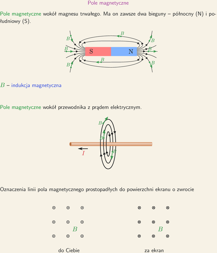 Pole Magnetyczne